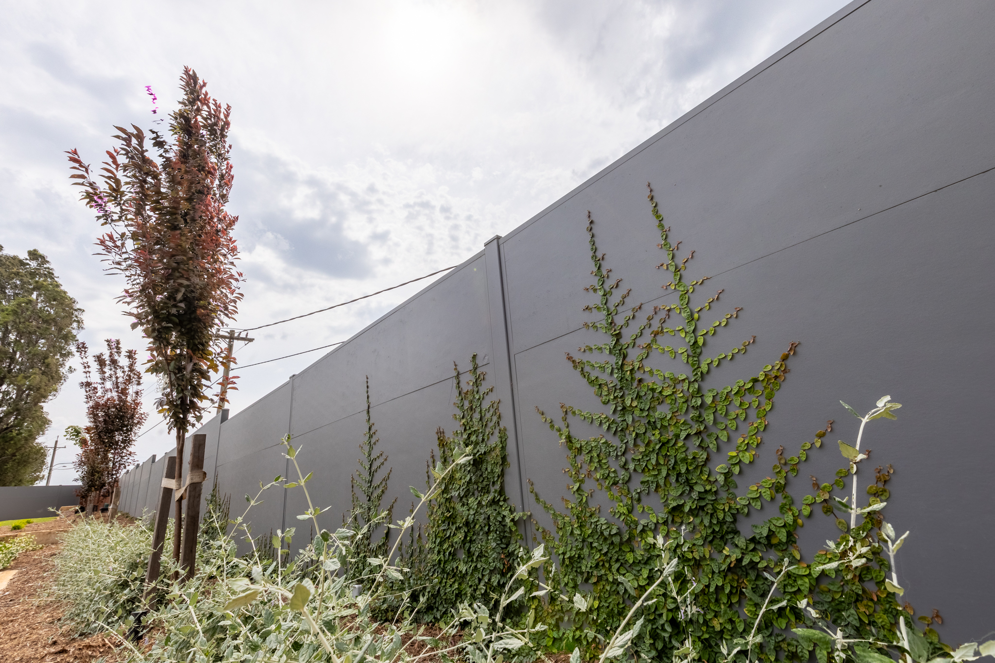Residential development fencing